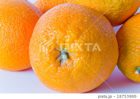 Oranges Oranges 18753900