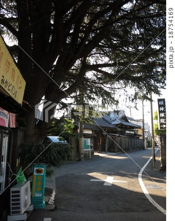 台東区谷中の寺町の風景（ヒマラヤ杉と延壽寺山門） 18754169
