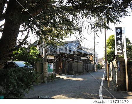 台東区谷中の寺町の風景（ヒマラヤ杉と延壽寺山門） 18754170
