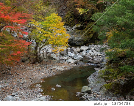 べふ峡の紅葉 18754788