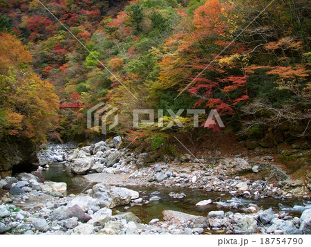 べふ峡の紅葉（もみじ茶屋付近） 18754790