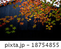 黒い建物と紅葉 18754855