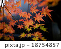 黒い板壁と紅葉 18754857