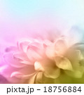 Soft focus flower background with copy space. 18756884