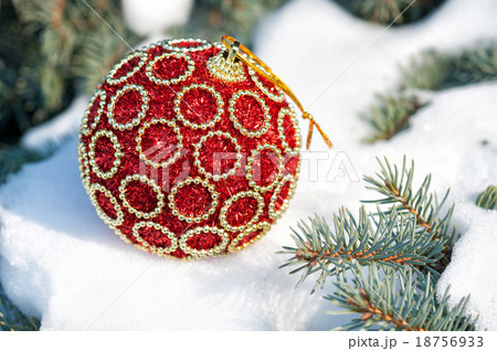 red christmas ball on winter tree with snow 18756933