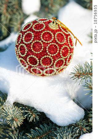 red christmas ball on winter tree with snow 18756935