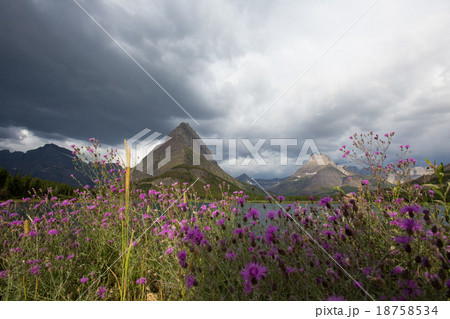Glacier National Park. Glacier National Park. 18758534