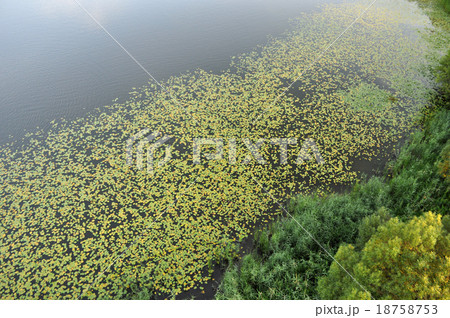 Aerial View of Brandenburg, Germany 18758753