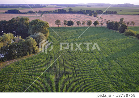 Aerial View of Brandenburg, Germany 18758759