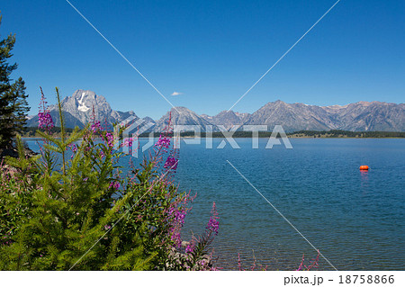 Grand Teton National Park 18758866