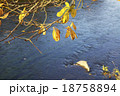 紅葉と、川 18758894