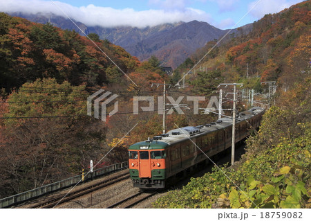 諏訪峡を行く上越線115系電車 諏訪峡を行く上越線115系電車 18759082