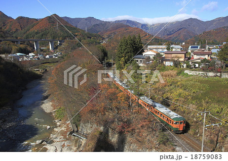 諏訪峡を行く上越線115系電車 18759083