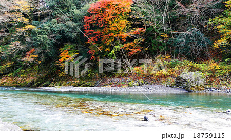 奥多摩の紅葉 18759115