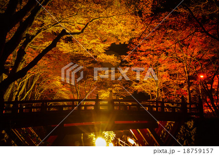 横蔵寺の紅葉ライトアップの写真素材