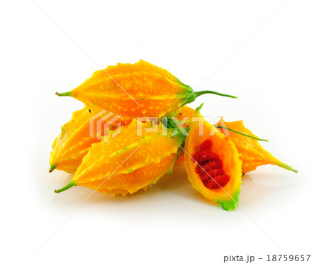 Momordica or karela  18759657