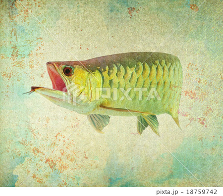 Beautiful abstract background with arowana Beautiful abstract background with arowana 18759742