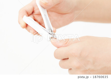 爪切り　ボディパーツ 18760635