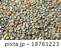 Raw unroasted bali coffee beans background 18761223