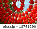 Chinese lanterns hanging in the garden 18761290