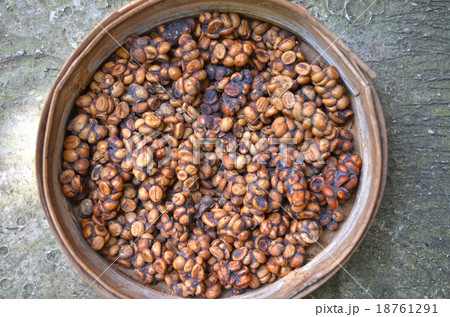 Kopi luwak original coffee bean on bamboo tray Kopi luwak original coffee bean on bamboo tray 18761291