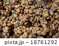Close up of Kopi Luwak coffee bean 18761292