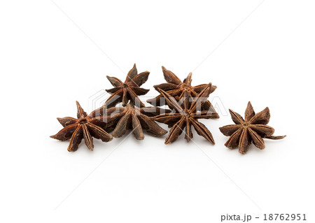 トウシキミの実 トウシキミの実 18762951