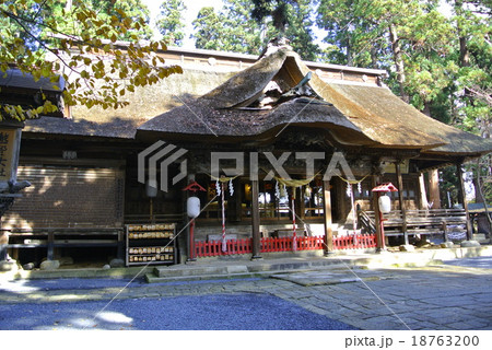 熊野神社 熊野神社 18763200