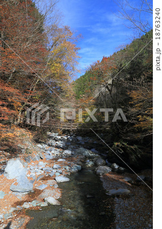徳島県三好市奥祖谷地区（旧東祖谷山村）「奥祖谷二重かずら橋」の女橋と野猿 18763240