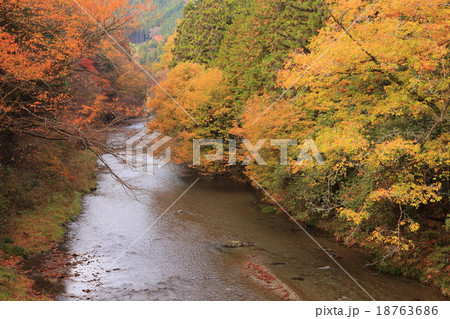 秋川渓谷紅葉の写真素材