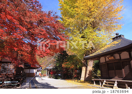吉祥寺紅葉 吉祥寺紅葉 18763694
