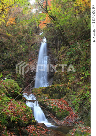 払沢の滝 紅葉 払沢の滝 紅葉 18763697