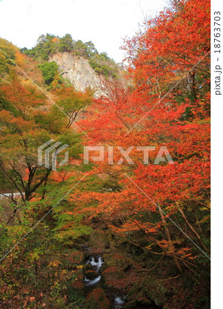 神戸岩紅葉 18763703