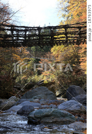 徳島県三好市奥祖谷地区(旧東祖谷山村)「奥祖谷二重かずら橋」の女橋と男橋 徳島県三好市奥祖谷地区(旧東祖谷山村)「奥祖谷二重かずら橋」の女橋と男橋 18763975