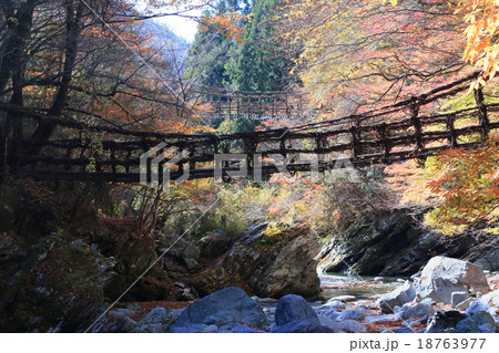 徳島県三好市奥祖谷地区（旧東祖谷山村）「奥祖谷二重かずら橋」の女橋と男橋 18763977