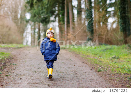 Cute little kid boy walking through autumn forest 18764222