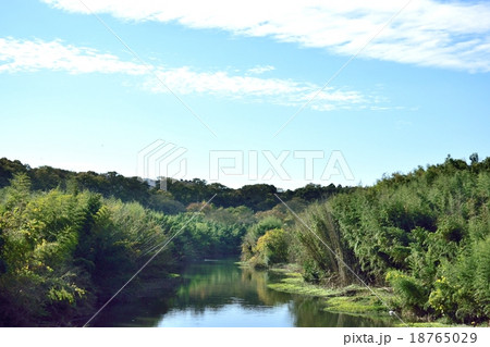 花島橋から見た花見川 18765029