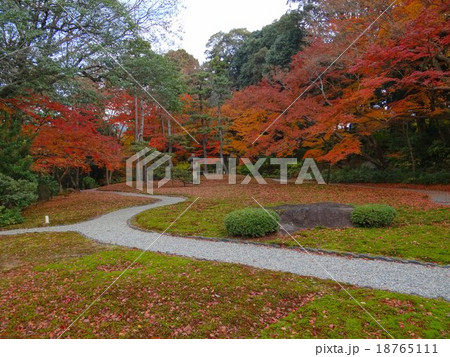 紅葉（奈良公園　吉城園） 18765111