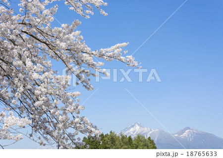 会津磐梯山と桜 18765633