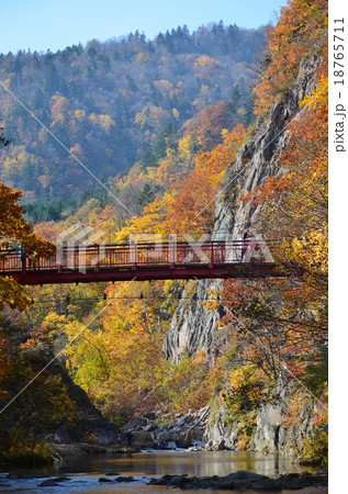 紅葉の定山渓温泉 18765711