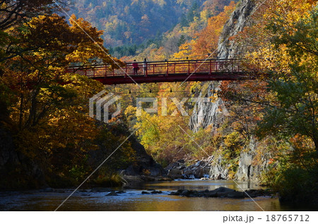 紅葉の定山渓温泉 紅葉の定山渓温泉 18765712