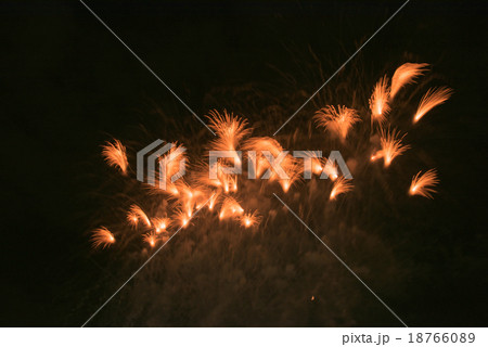 大曲花火大会 18766089