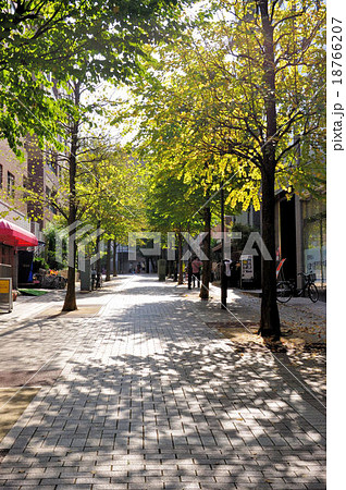 仲町台のプロムナード 18766207