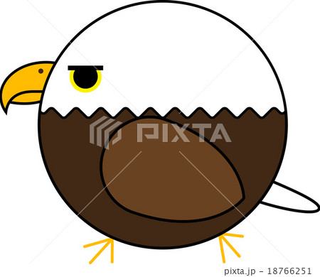 丸鳥(白頭ワシ) 丸鳥(白頭ワシ) 18766251