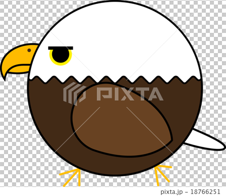 丸鳥(白頭ワシ) 丸鳥(白頭ワシ) 18766251
