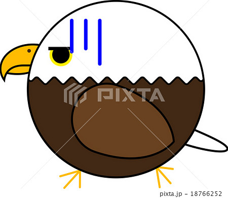 丸鳥（白頭ワシ） 18766252