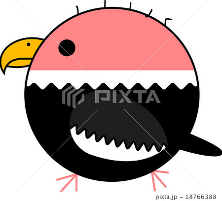 丸鳥(コンドル) 丸鳥(コンドル) 18766388
