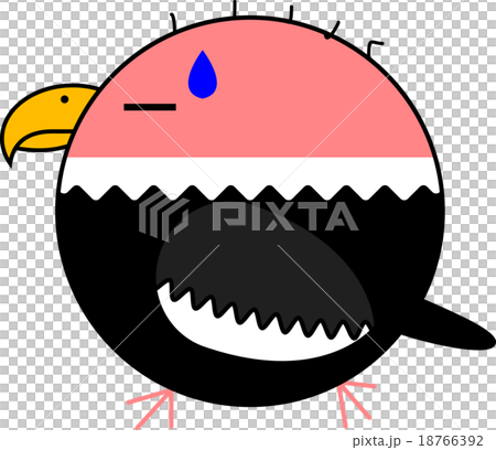 Maruko(神鷹) Maruko(神鷹) 18766392
