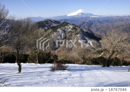 雪陵の鍋割山より雪富士 18767086