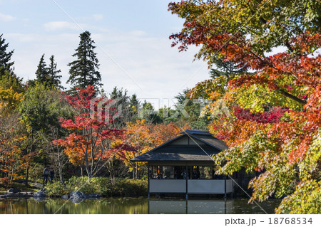 国営昭和記念公園 日本庭園の写真素材